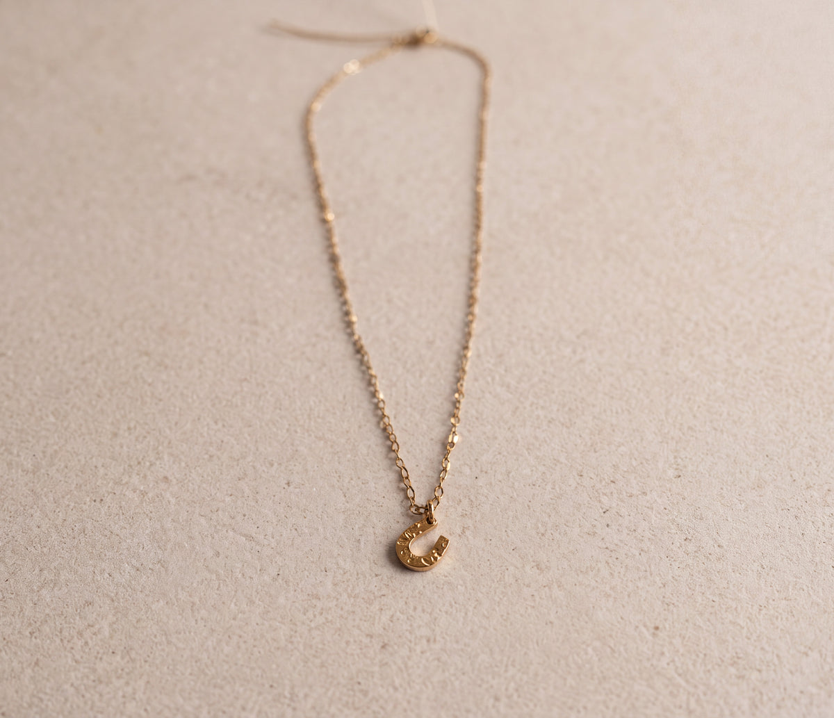 Mini Hammered Horseshoe Necklace