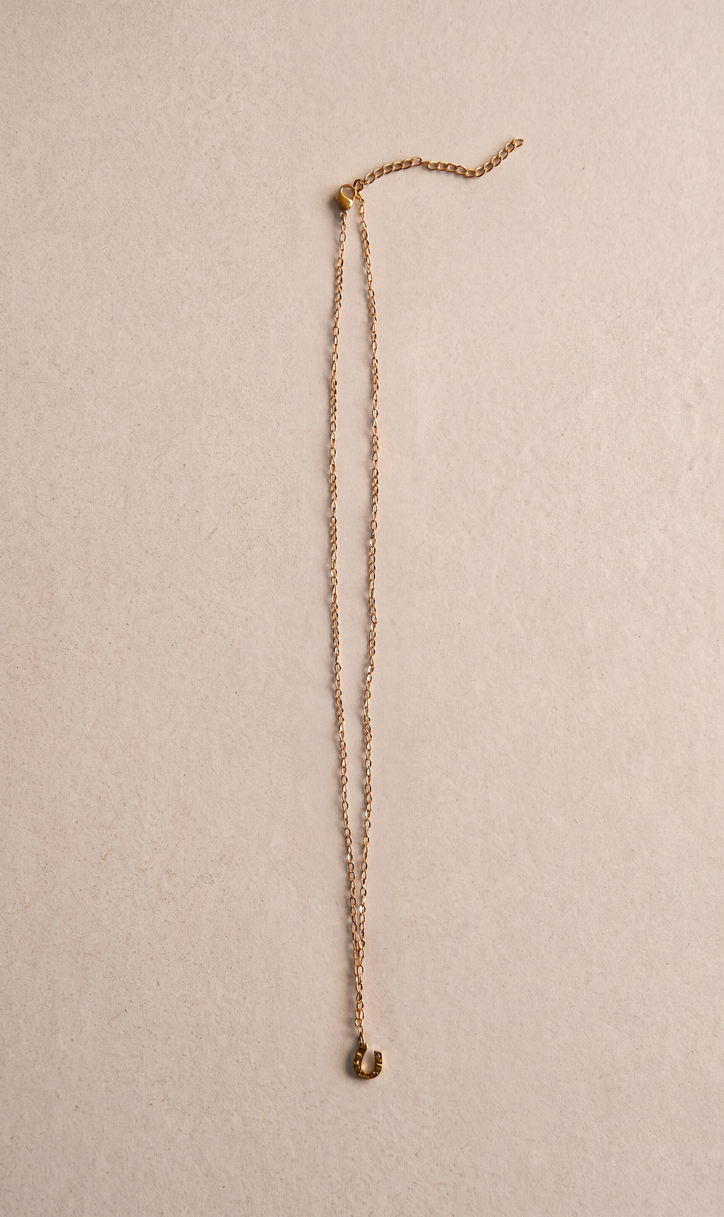 Mini Hammered Horseshoe Necklace
