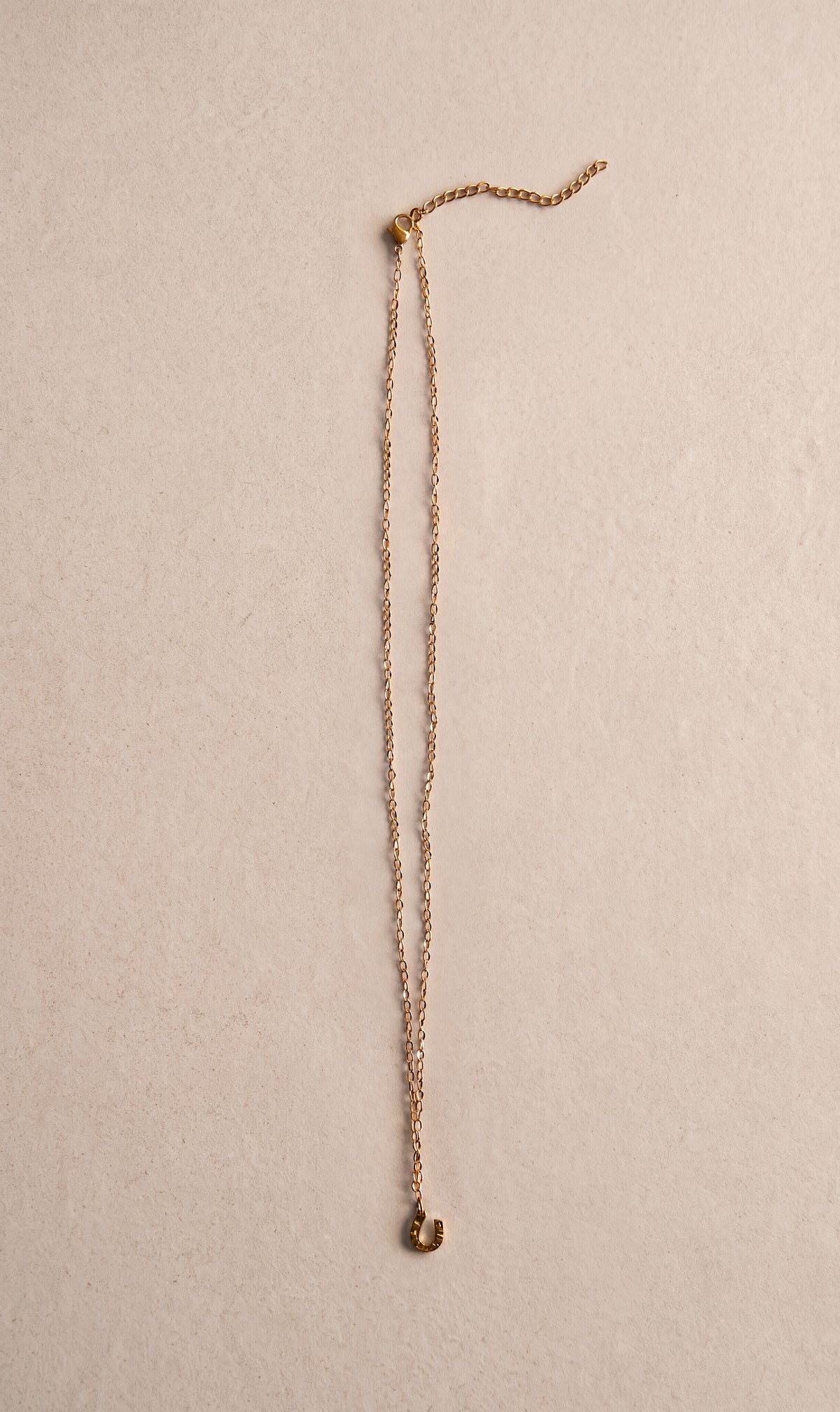 Mini Hammered Horseshoe Necklace